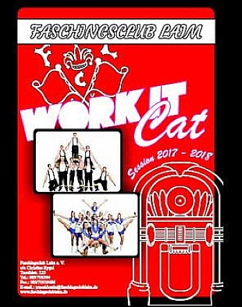 Die FCL-Zeitung 2016